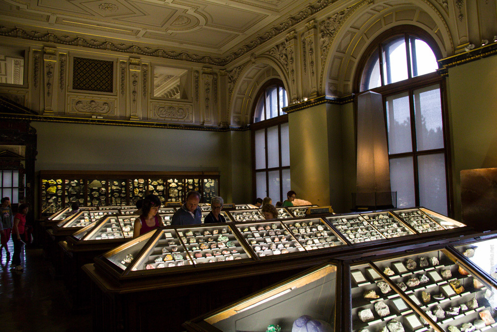 Первый в мире музей нумизматики. Naturhistorisches Museum Вена. Музей естествознания Австрия. Национальный музей естествознания Париж минералогическая. Музей естествознания в Вене.