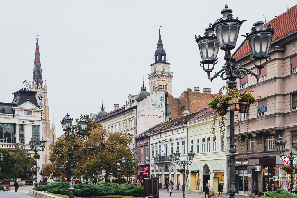 Сербия города новый сад